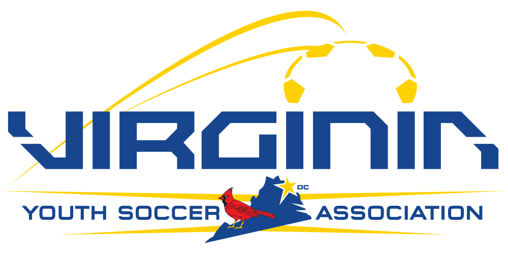VYSA